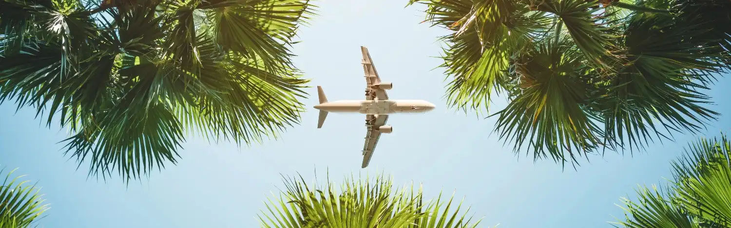 Book Cheap Flights Online