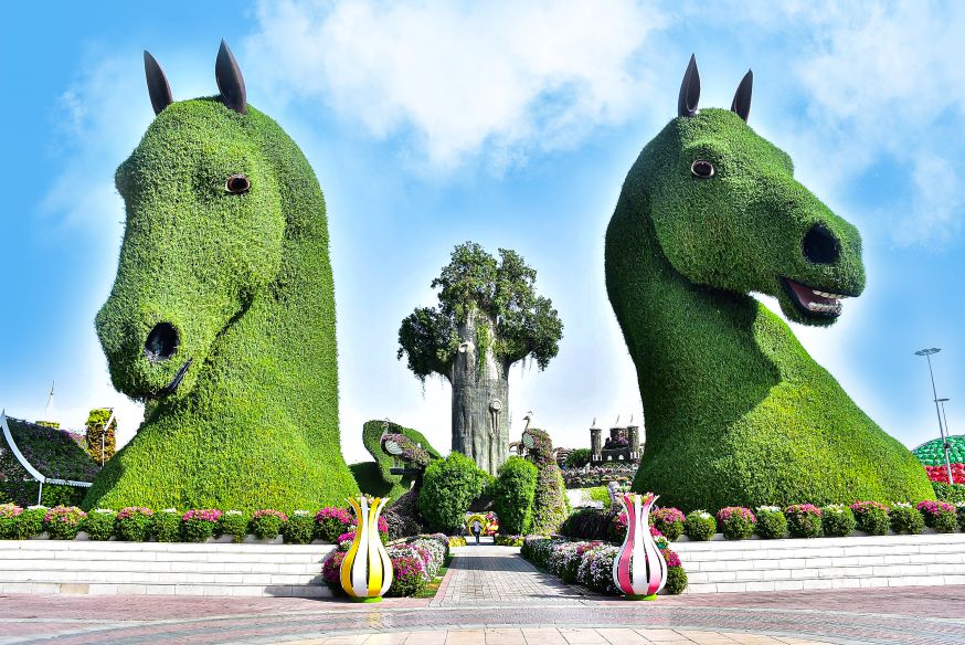 Miracle Garden and Dubai Marina